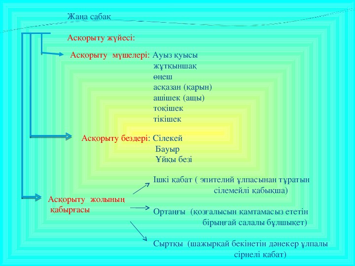 Ас қорыту жүйесіне әсер ететін дәрілер презентация