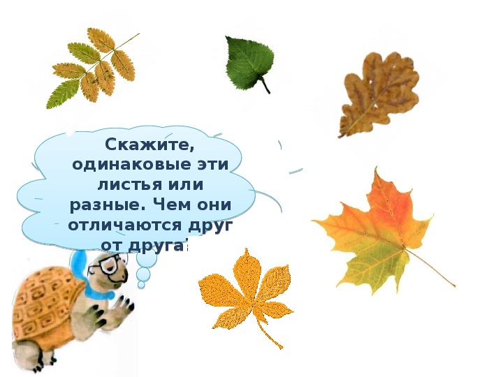 Взгляни на человека 1 класс перспектива конспект и презентация