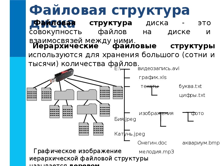 Файлы и файловые структуры 7 класс