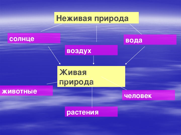 Существуют связи между неживой. Живая и неживая природа примеры. Живая и неживая природа 2 класс. Живая природа и неживая природа 2 класс. Примеры живой и неживой природы 2 класс.