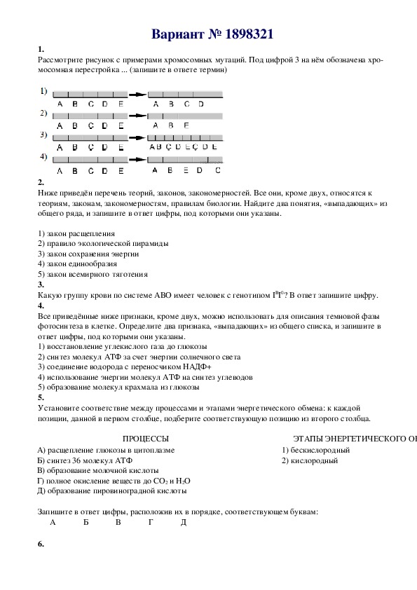 ЕГЭ. Биология. Вариант № 24