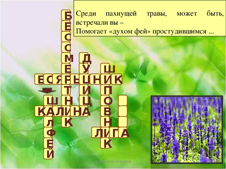 Кроссворд лекарство от всех недугов. Кроссворд на тему лекарственные растения. Кроссворд лекарственные растения. Кроссворд для детей лекарственные травы. Кроссворд на тему лечебные растения.