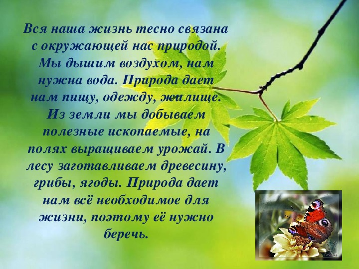 Текст о природе 10 предложений. Текст про природу. Предложения про природу 3 класс. Наша жизнь тесно связана с природой.