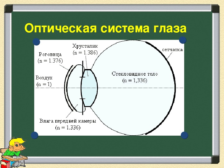 Презентация глаз как оптическая система 7 класс