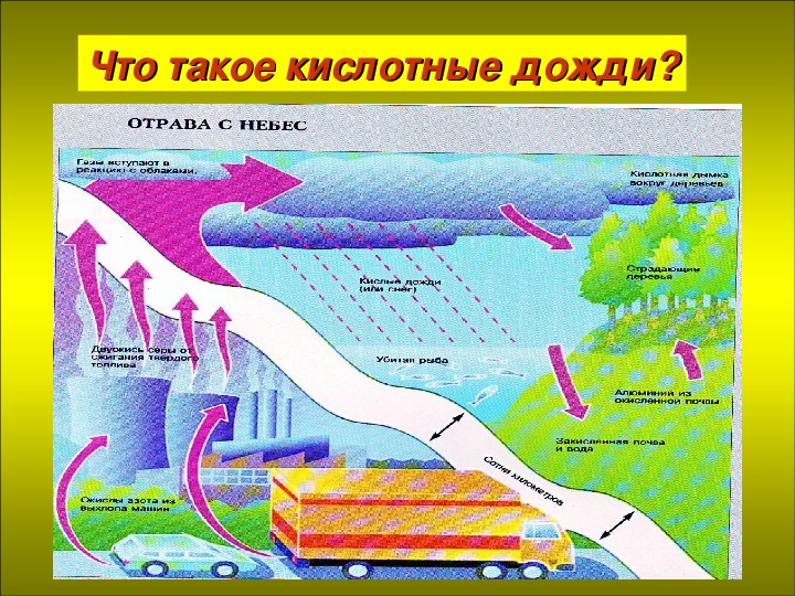 Как человек изменил землю 5 класс биология рисунок