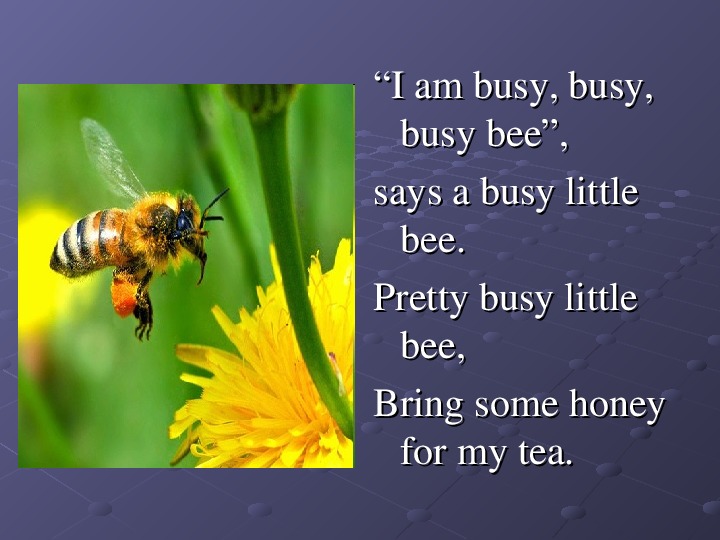 Is like a bee. Busy Bee. Идиома busy Bee. As busy as a Bee. Busy as a Bee идиома.