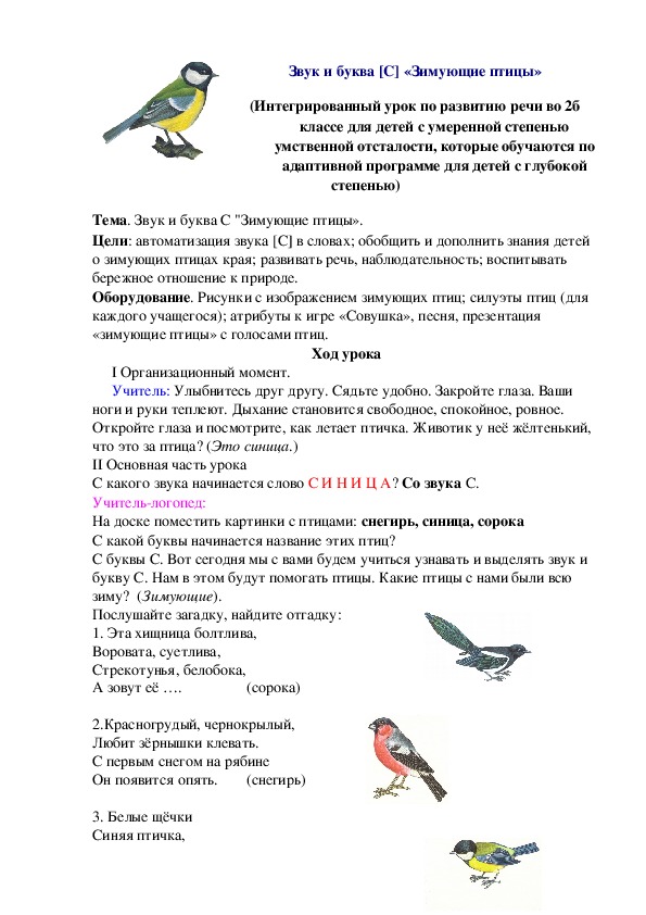 Логопедическое занятие: Звук и буква С "Зимующие птицы»  для детей с ОВЗ