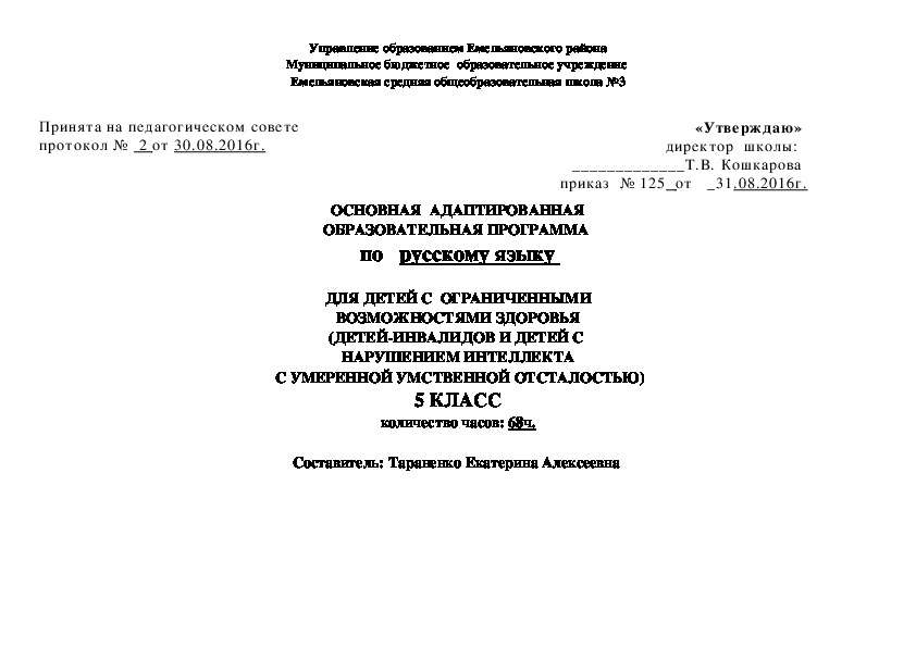 Рабочая программа по  русскому языку  5 класс