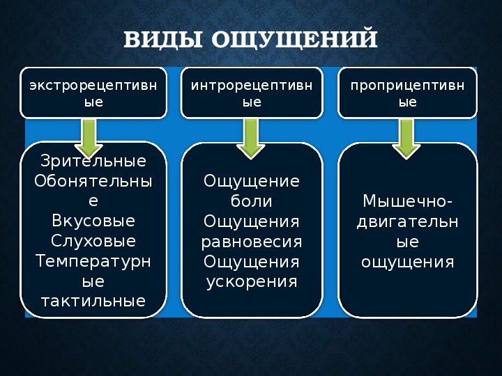 В основе ощущений лежит. Виды ощущений. К видам ощущений относятся. Виды тактильных ощущений. К тактильным ощущениям относят.