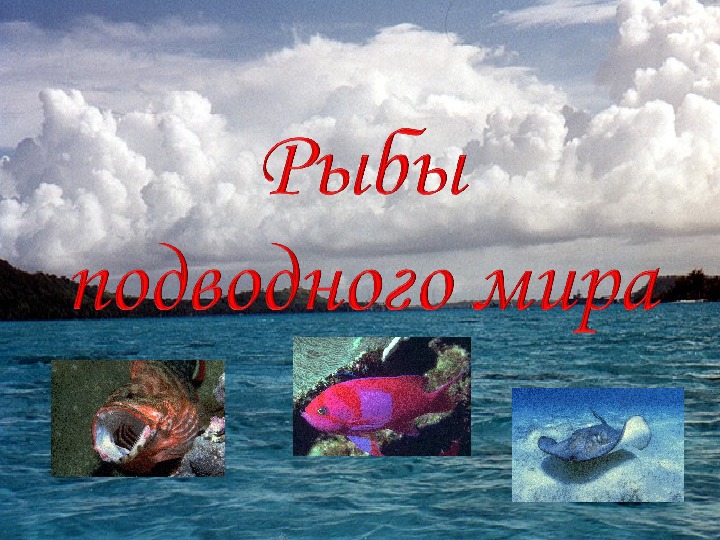 "Рыбы подводного мира"