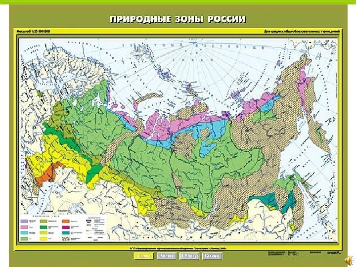 Конспект и презентация по окружающему миру по теме  "Леса России"