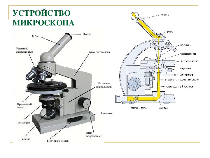 Цифровой микроскоп строение с подписями и названиями. Световой микроскоп Биолам строение. Строение микроскопа тубусодержатель. Микроскоп сбоку строение. Схема светового микроскопа.