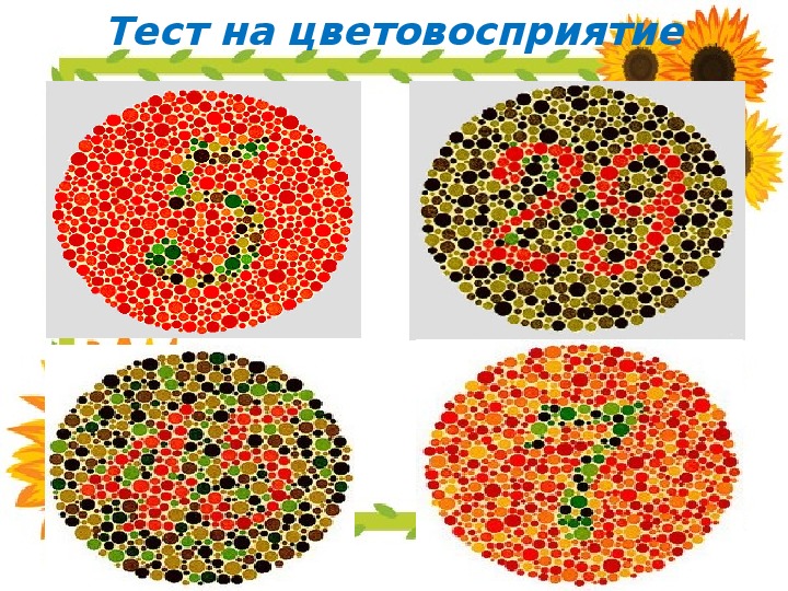 Дальтонизм презентация по биологии