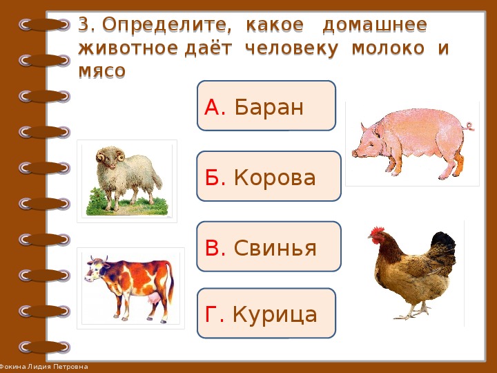 Проверочная работа животные 2 класс