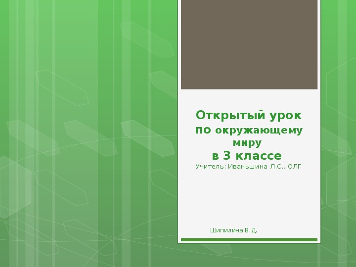 Презентация по окружающему миру "Народы России. Карелы"