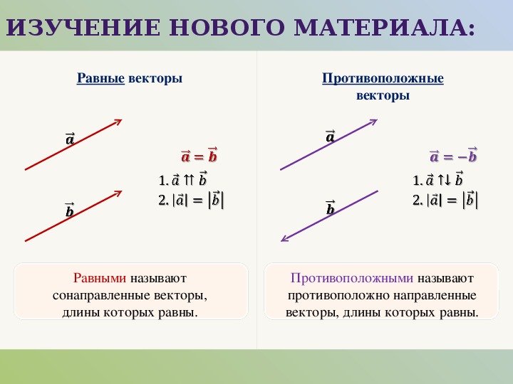 Укажите равные векторы