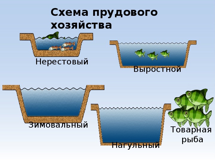 Дополни схему водохранилища искусственные водоемы