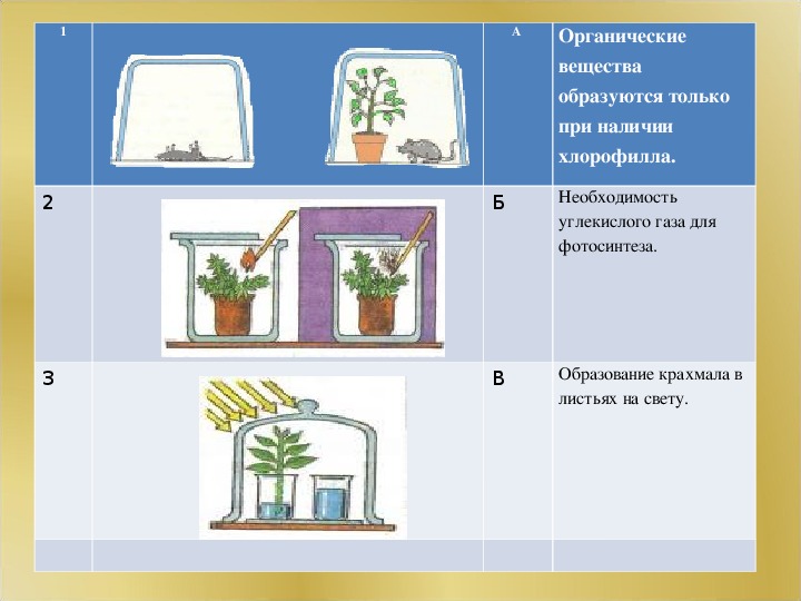 Опыт изображенный на рисунке служит доказательством