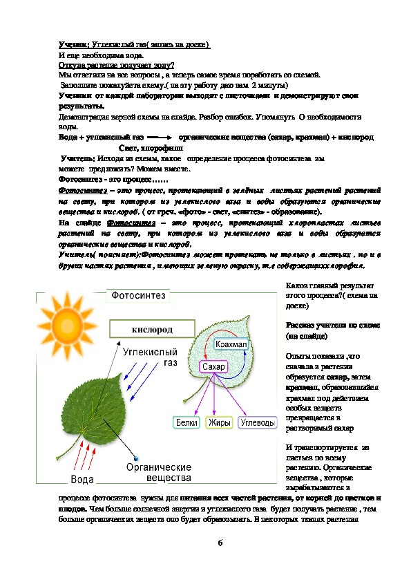 Дыхание как и фотосинтез ответы. Схема фотосинтеза у растений. Рабочий лист фотосинтез 6 класс. Фотосинтез 6 класс биология. Конспект по теме фотосинтез 6 класс.