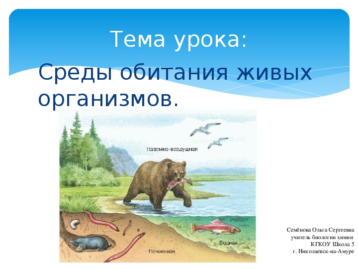 Обитания живых организмов. Среды обитания организмов 5 класс биология. Презентация на тему среда обитания живых организмов. Презентация на тему среды обитания организмов 5 класс. Рисунок на тему среда обитания живых организмов 5 класс.