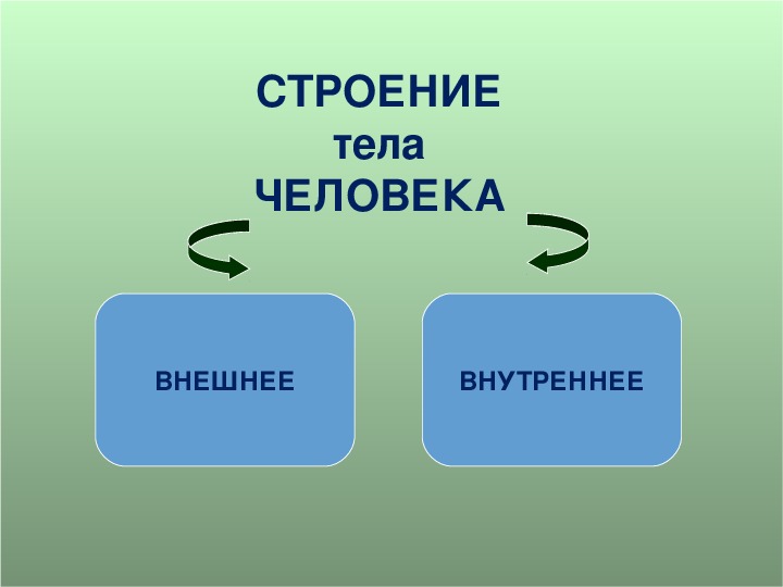 Презентация на тему организм 10 класс