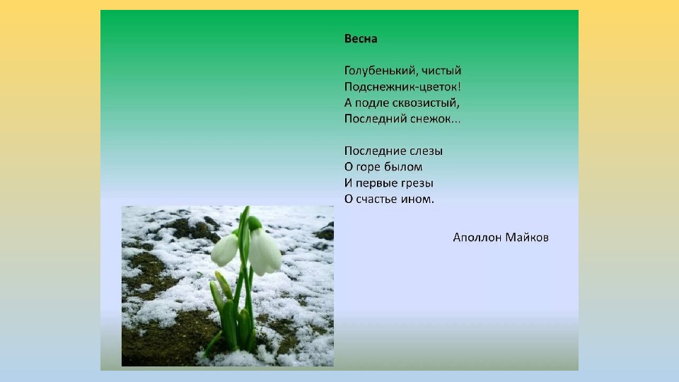 Презентация майков весна белозеров подснежники 1 класс школа россии