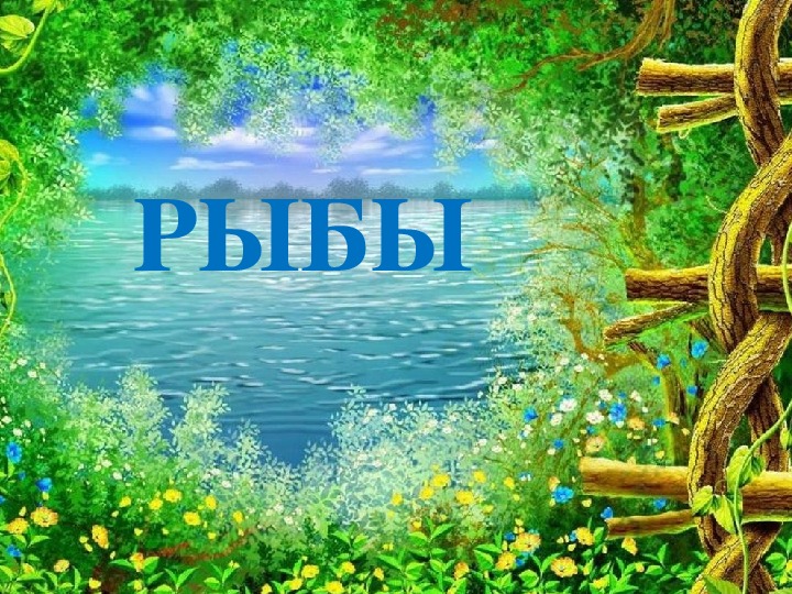 Обложка для материала Презентация "Рыбы"