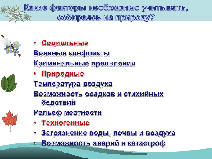 Проект экскурсия в природу 6 класс обж