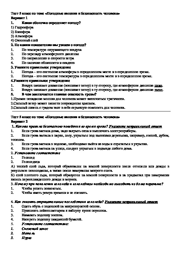 Тематическая проверочная работа по итогам