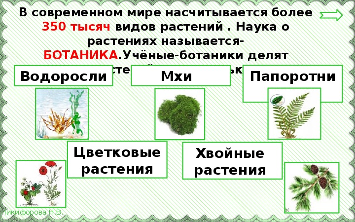 На какие две группы можно разделить растения. Группы растений 3 класс окружающий мир таблица. Разнообразие растений 3 класс окружающий мир группы растений таблица. Разнообразие растений 3 класс окружающий мир. Деление растений на группы.