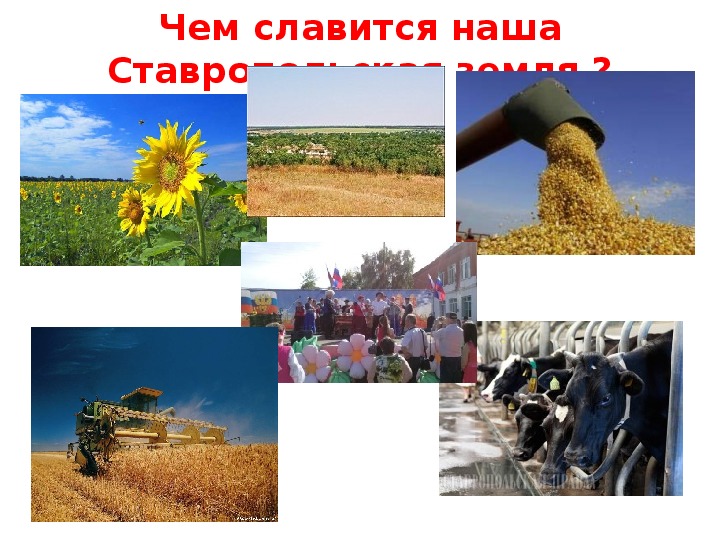 Чем славится наш край