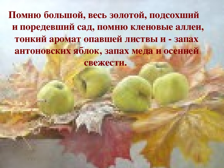 Антоновские яблоки читать полностью. Антоновские яблоки Бунин иллюстрации. Антоновские яблоки книга. Бунин и. "Антоновские яблоки".