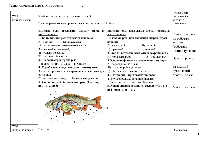 Таблица рыбы 8 класс биология