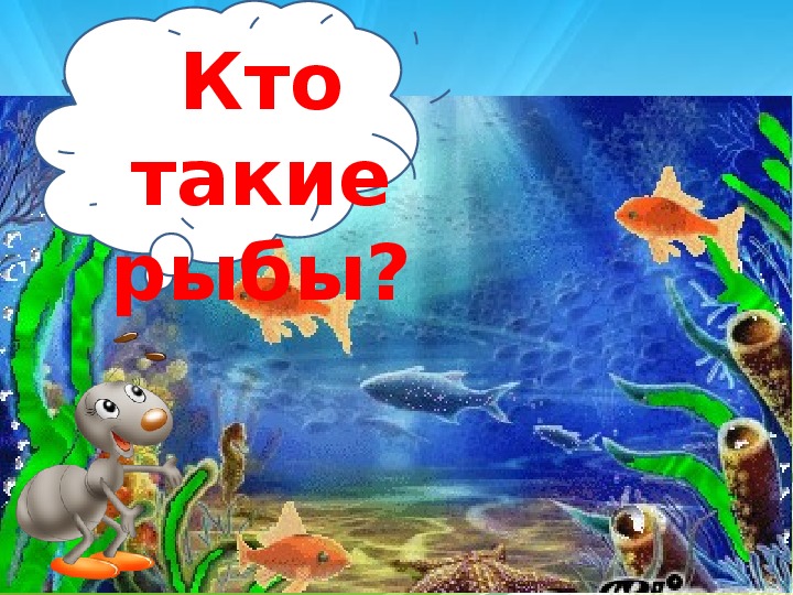 Кто такие рыбы 1. Кто такие рыбы. Кто такие рыбы 1 класс. Окружающий мир кто такие рыбы. Окружающий мир 1 класс кто такие рыбы презентация.