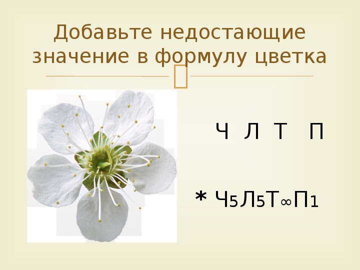 Презентация формула цветка