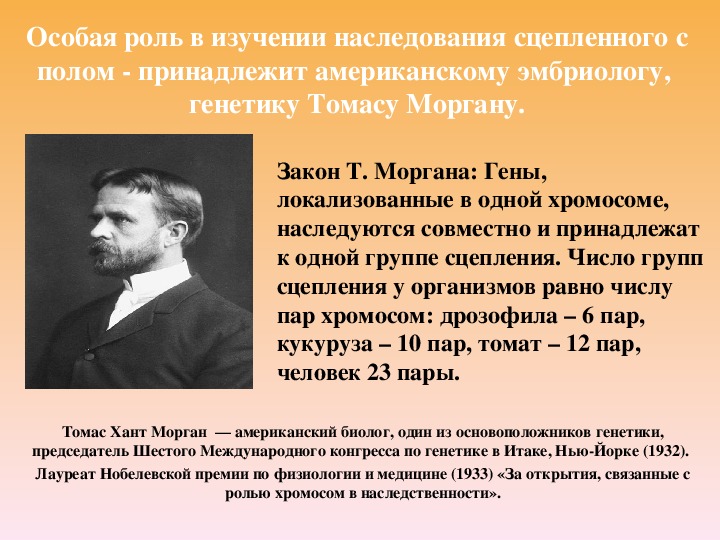 Биология 9 класс генетические. Кто открыл закон сцепленного наследования. Открытия Моргана в генетике. Исследование Моргана в генетике. Томас Морган и изучение сцепленного наследования.