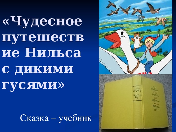 Урок литературного чтения Презентация на тему "Чудесное путешествие Нильса с дикими гусями" 3 класс.