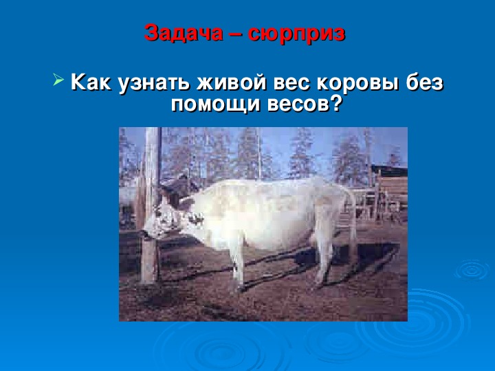 Средний вес коровы