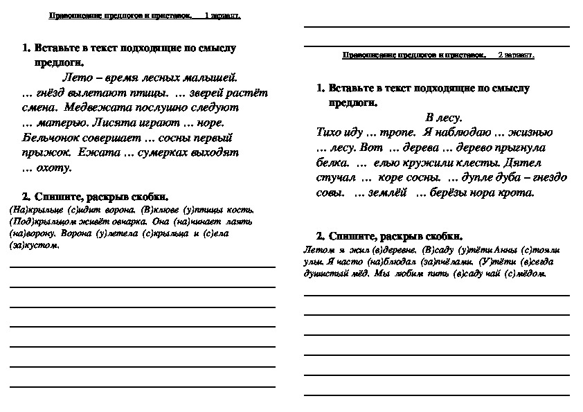 Самостоятельная работа по русскому языку на тему "Правописание предлогов и приставок" (2 класс)