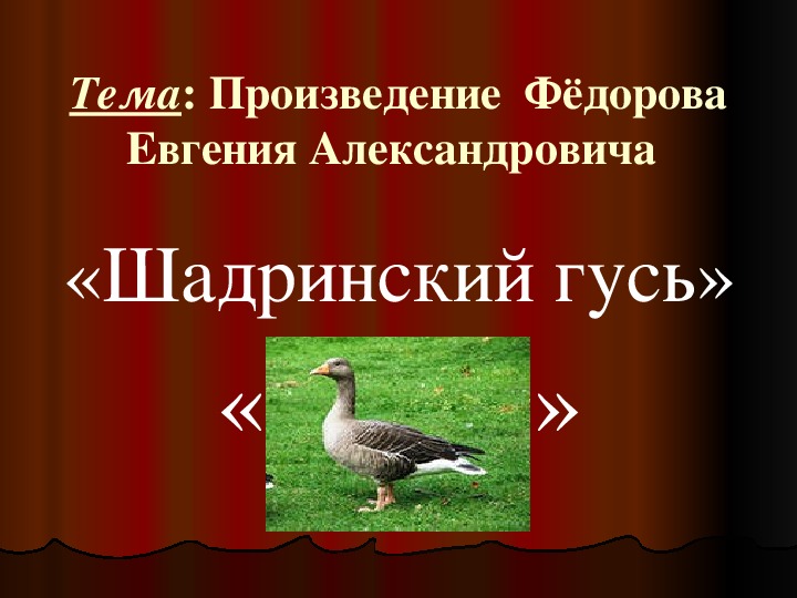 Обложка для материала Презентация по литературе. Произведение  Фёдорова Евгения Александровича «Шадринский гусь» в 9 классе.