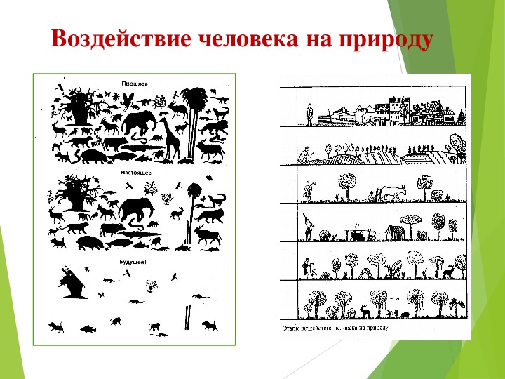 Тест эволюция 9 класс биология с ответами