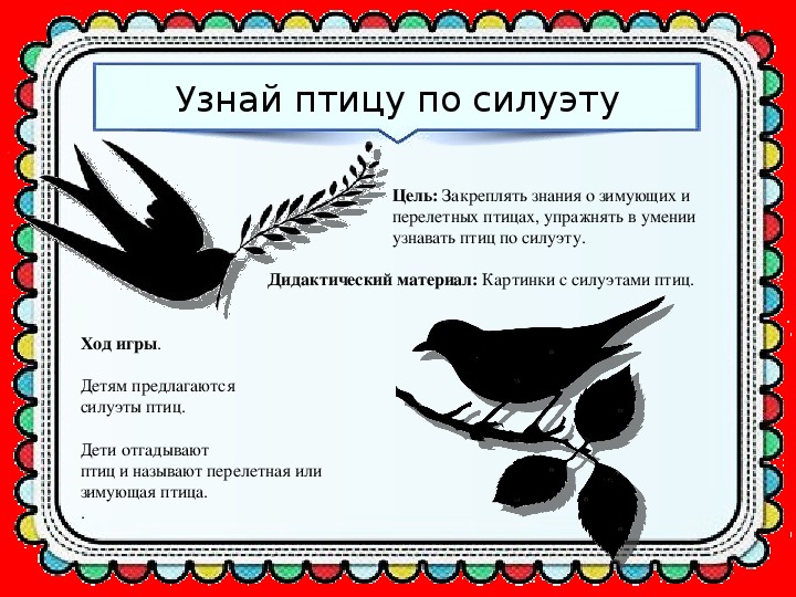 Определить птицу. Игра узнай птицу по силуэту. Узнай птицу по описанию. Занимательный материал к Дню птиц для детей. Определение птиц по силуэтам.