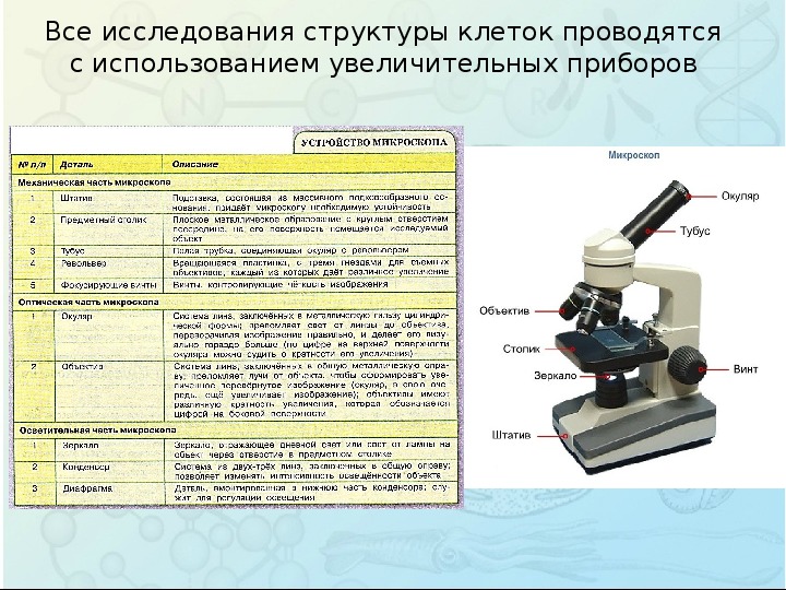 Тест по биологии строение микроскопа