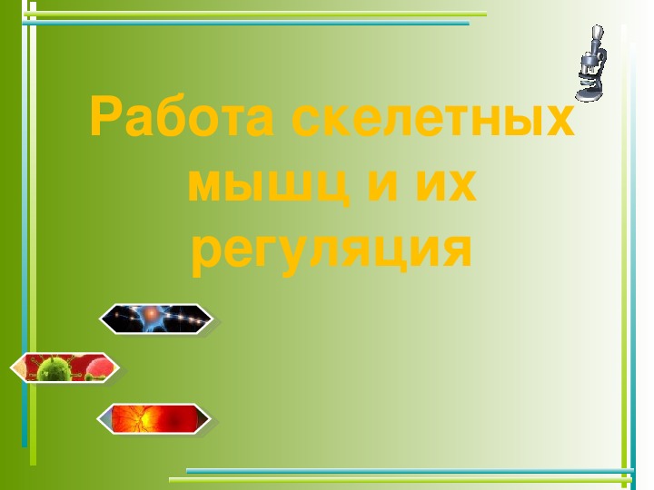 Презентация по биологии 8 класс память и обучение