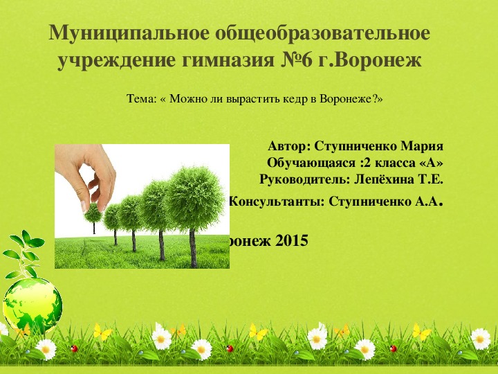 Презентация к проектной работе " Можно ли вырастить кедр в Воронеже"