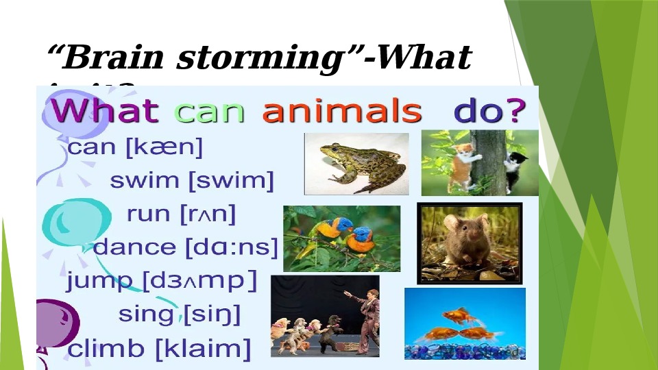Do you like animals. Animals презентация. What can animals do презентация 2 Grade. Презентация по англ.яз Wild about animals. Тема животные английский язык 1 класс.