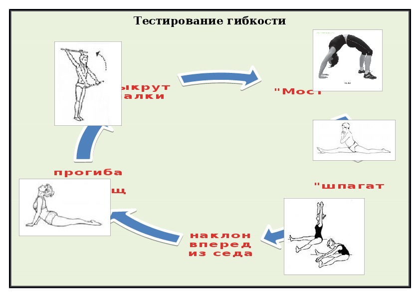 Акробатика тест по физкультуре. Упражнения на оценку гибкости. Тест на гибкость. Выполнение тестов на гибкость. Упражнения гибкости тест.