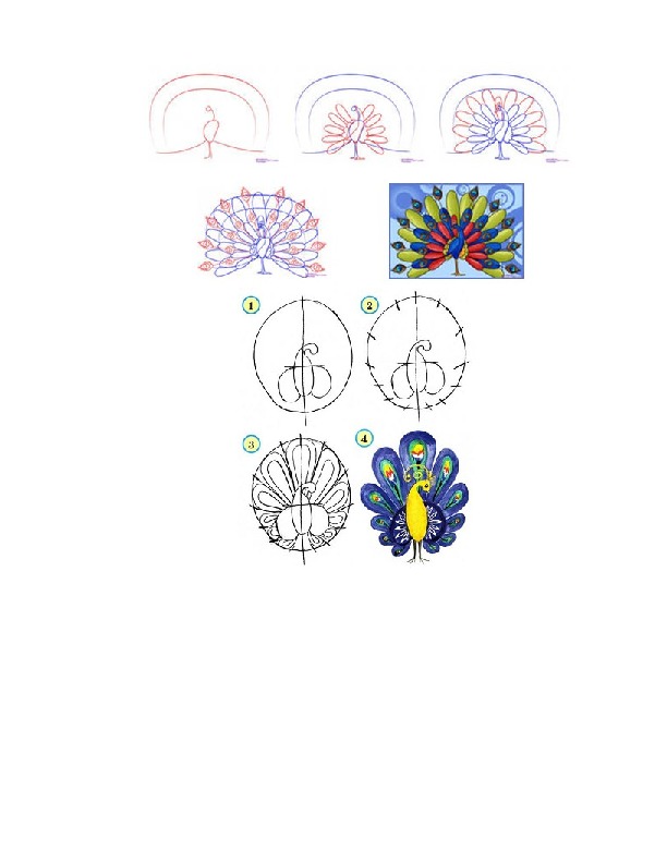 Схема рисования павлина для детей