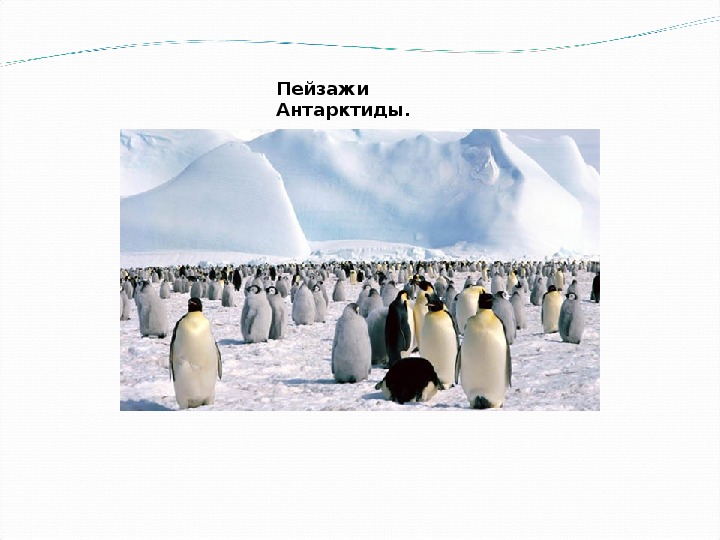 Серия уроков по теме: "Антарктида".