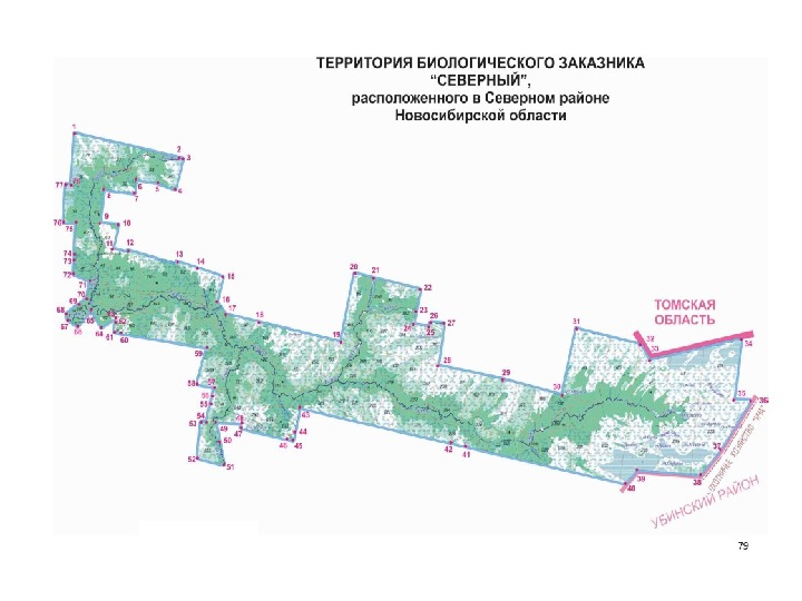 Кирзинский заказник новосибирской области карта